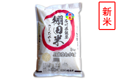 こしひかり 棚田米