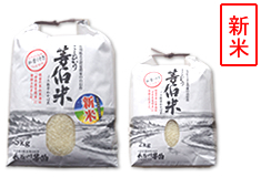 こしひかり "等伯米"